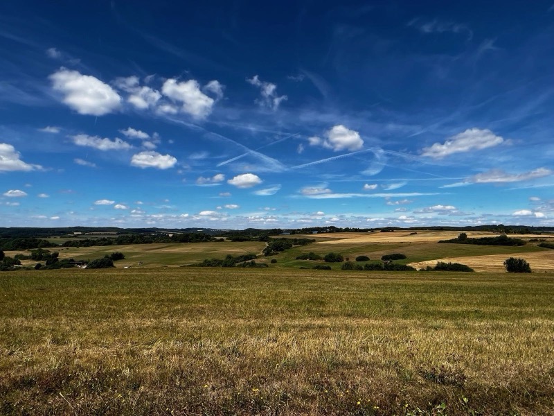 Paysage rural de Nesle-et-Massoult